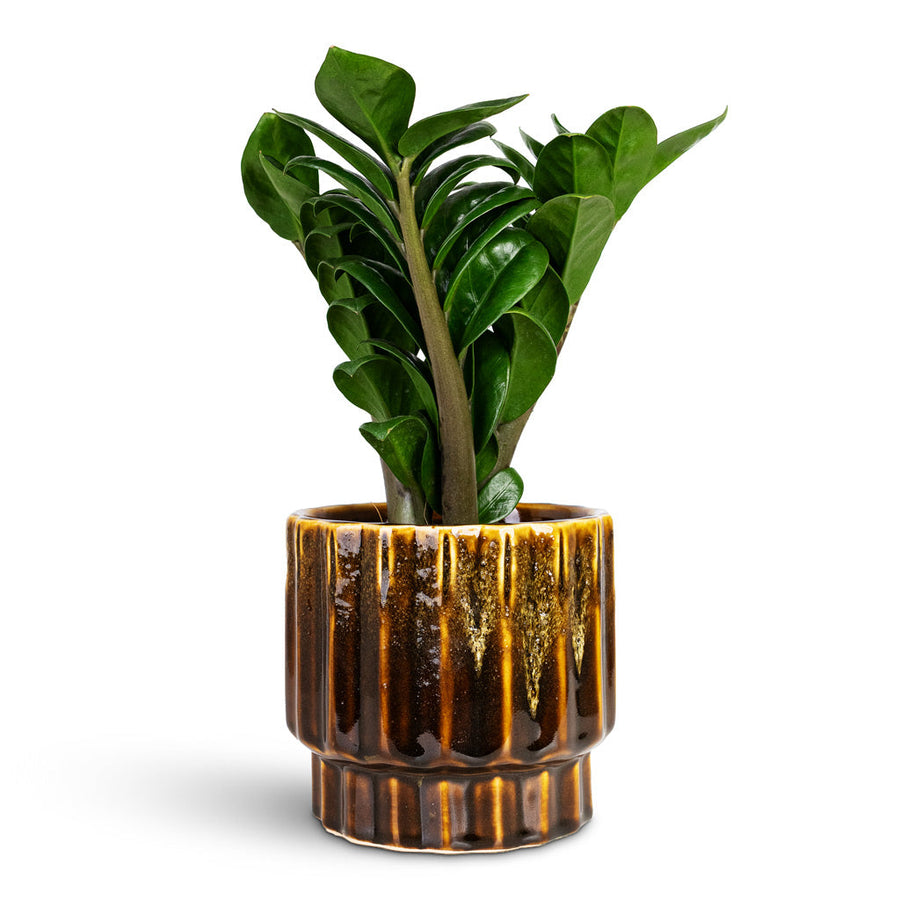 Plant Port