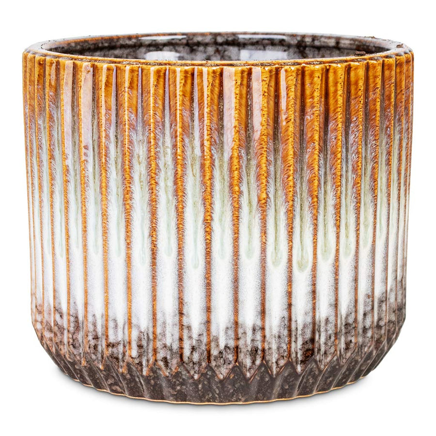 Ceramic Pot & Plant